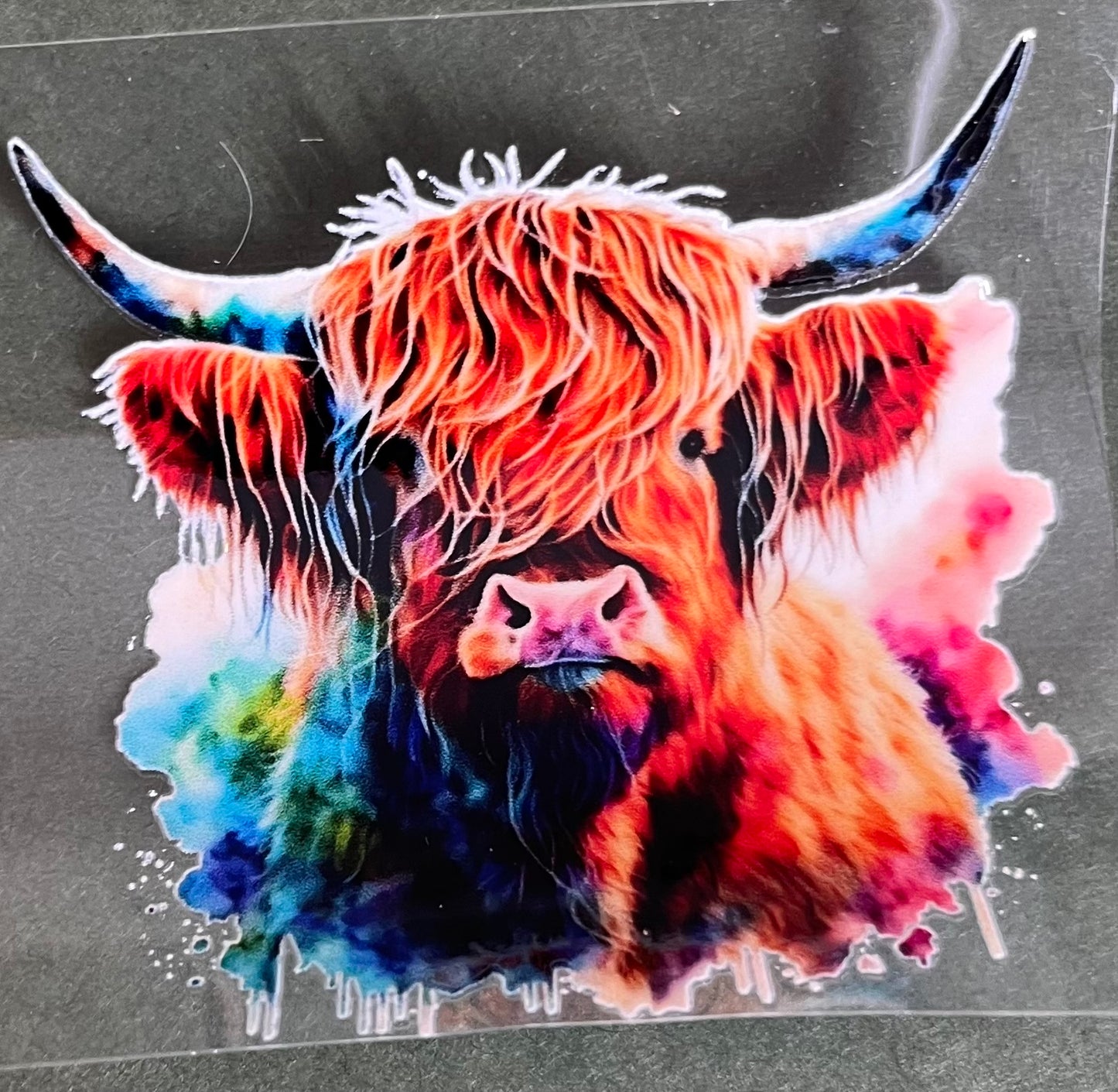 Highland Cow 3"x 3"