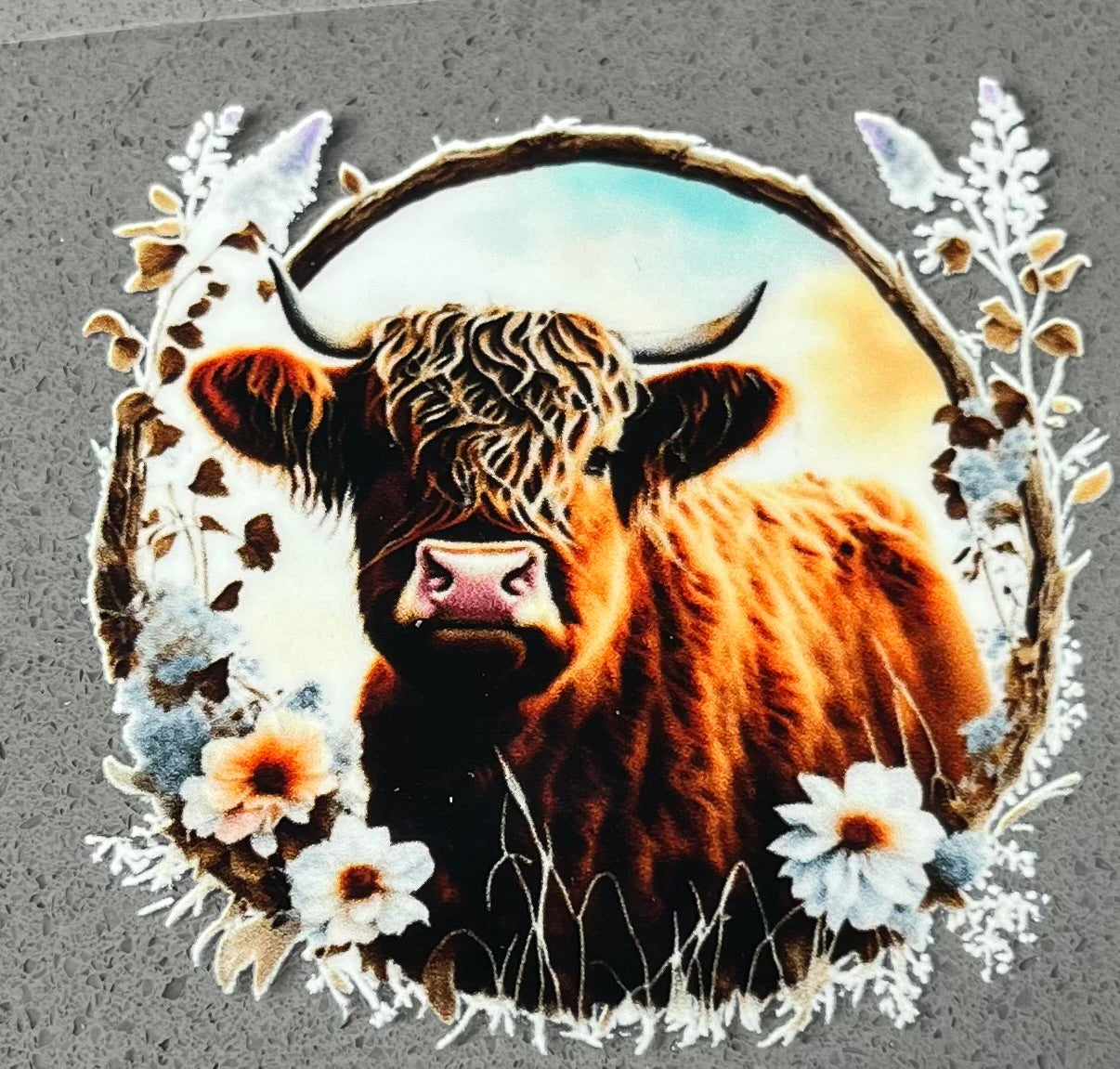 Highland Cow #2 4"x 4" New Size New Lower Price