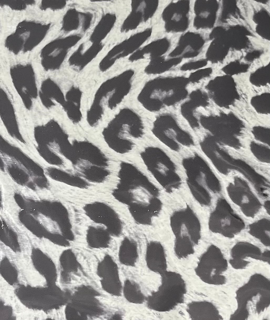 Big Cats RESTOCKING In MAY