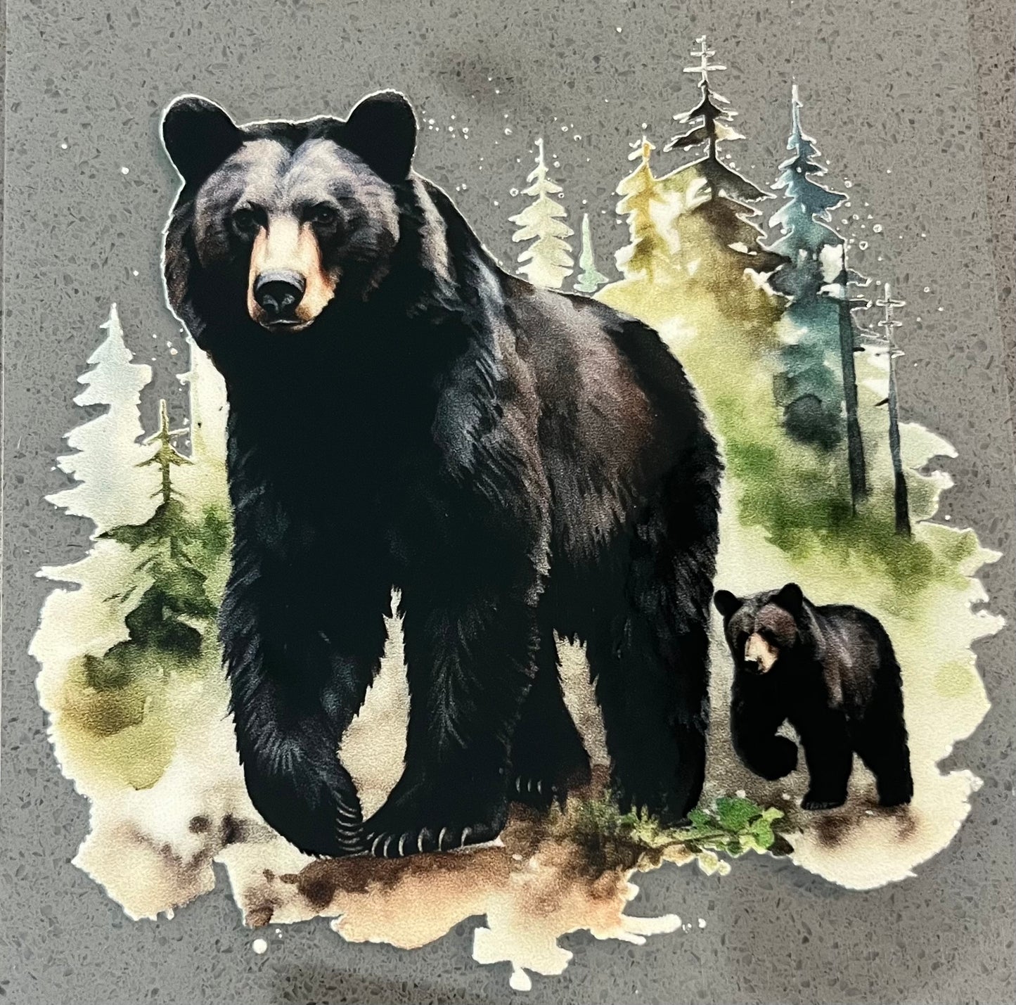 Bears #1 4" x 4" UV DTF 1049