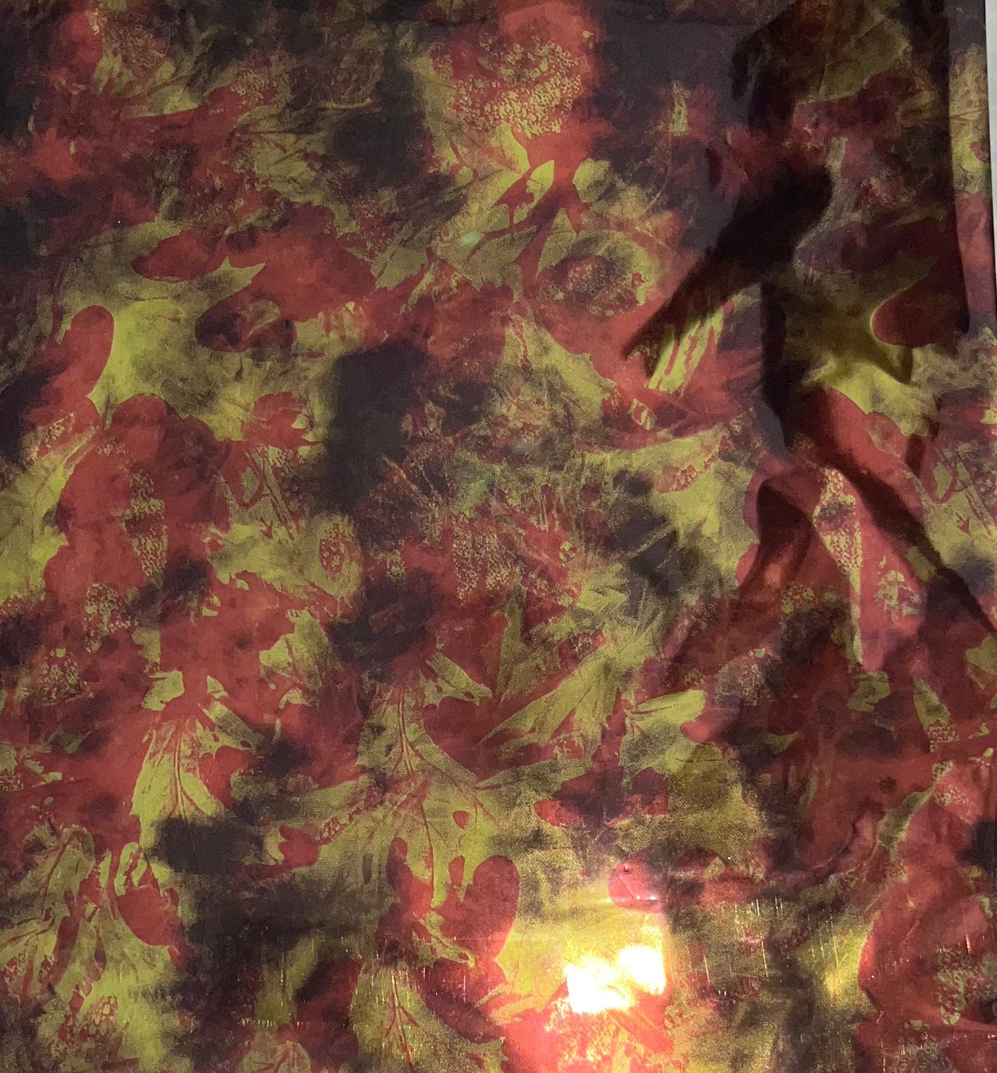 Acorn RESTOCKING IN MAY