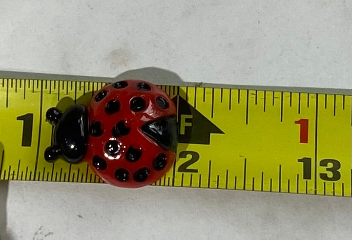(2) Ladybugs