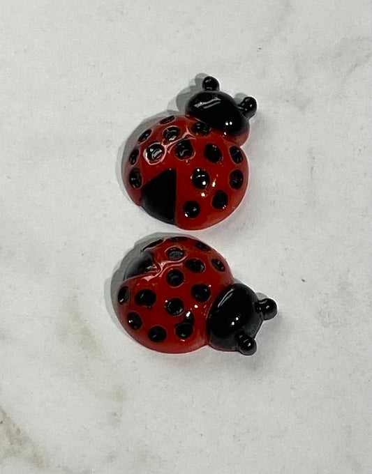 (2) Ladybugs